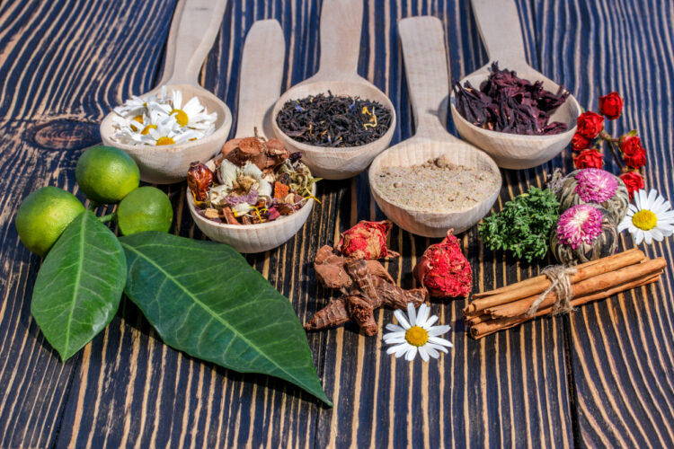 Improve Your Productivity through These 12 Natural Herbs Mother Earth